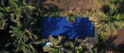 An aerial view of a rooftop pool surrounded by palm trees, with a stone wall and a small garden area.