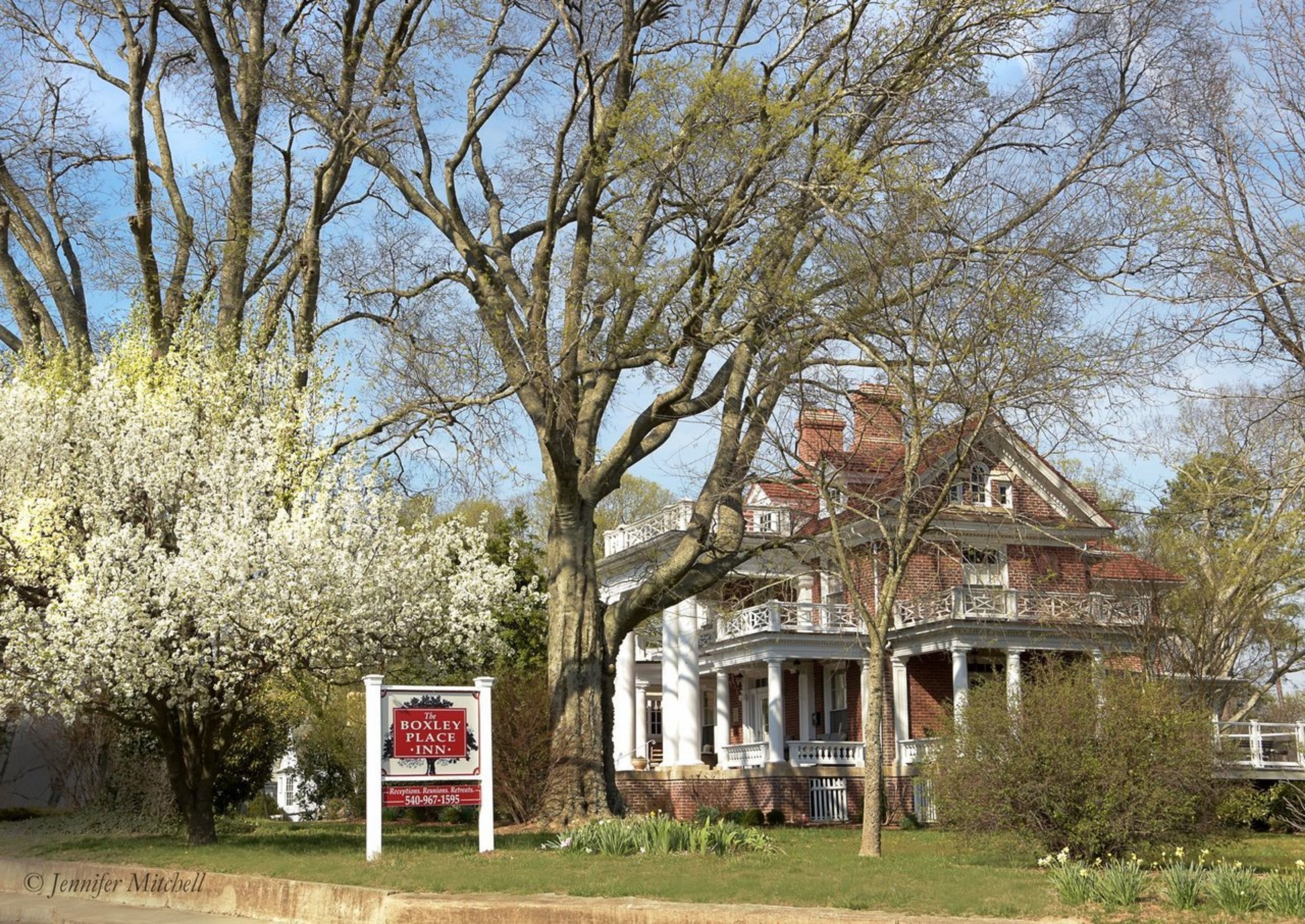 A historic building with a large tree in front, a sign for The Boxley Inn, and a brick facade.