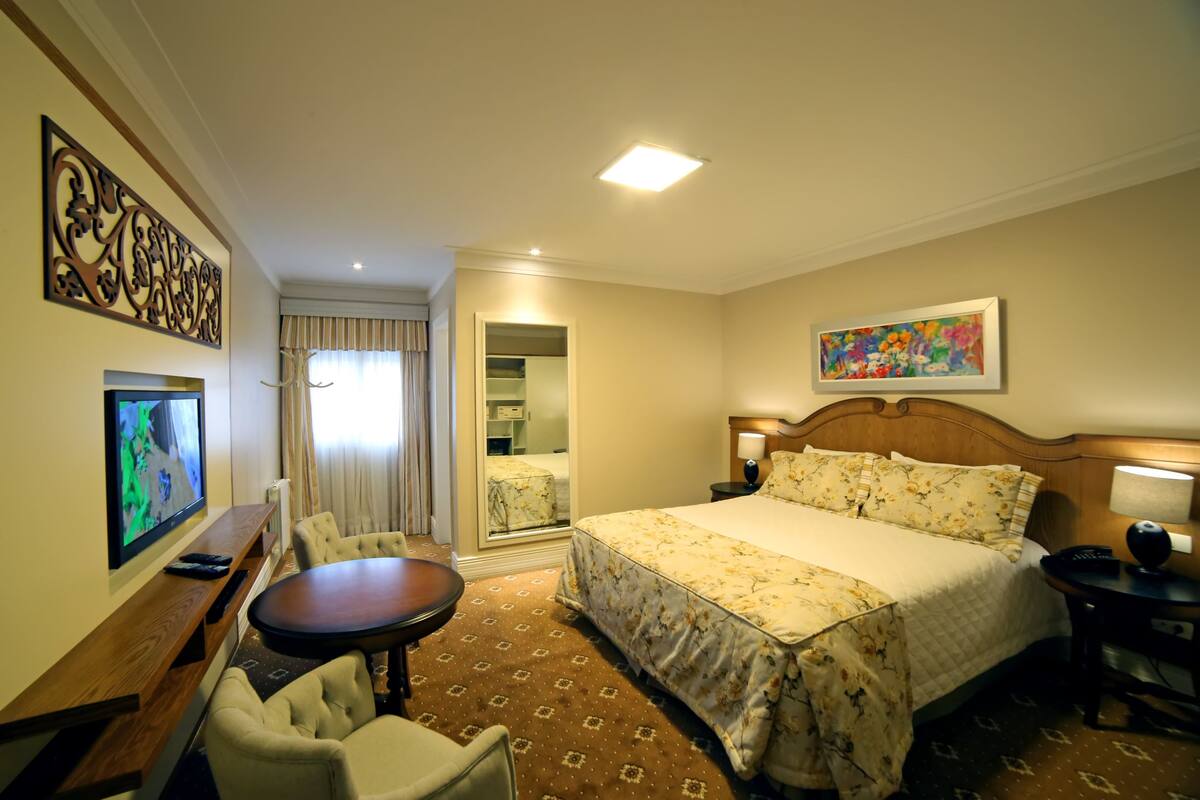 Habitación de hotel con cama, escritorio, silla, televisor, espejo y un cuadro en la pared.