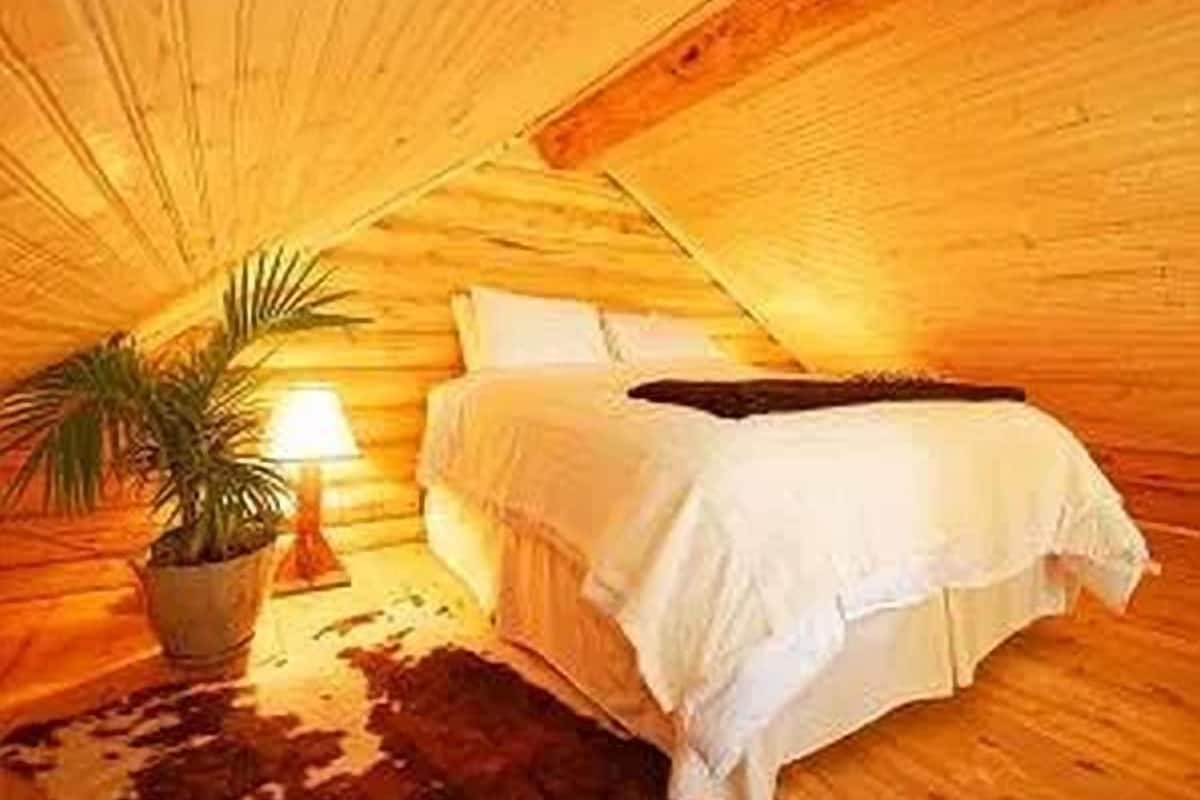 Apartment, Ensuite (South Cabin) | Free WiFi