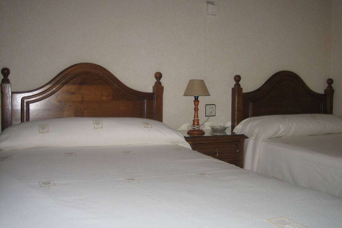 A hotel room with two single beds, wooden headboards, a bedside table with a lamp, and a wall socket.
