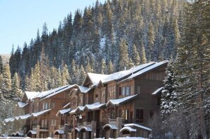 A row of log cabins with snow-covered roofs, surrounded by dense evergreen trees. - Base Camp 480 4 Bedroom Holiday Home by Winter Park Lodging Company (Winter Park)