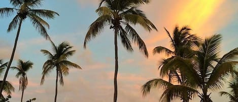 Standard Apartment, 2 Bedrooms | Beach | Beach nearby