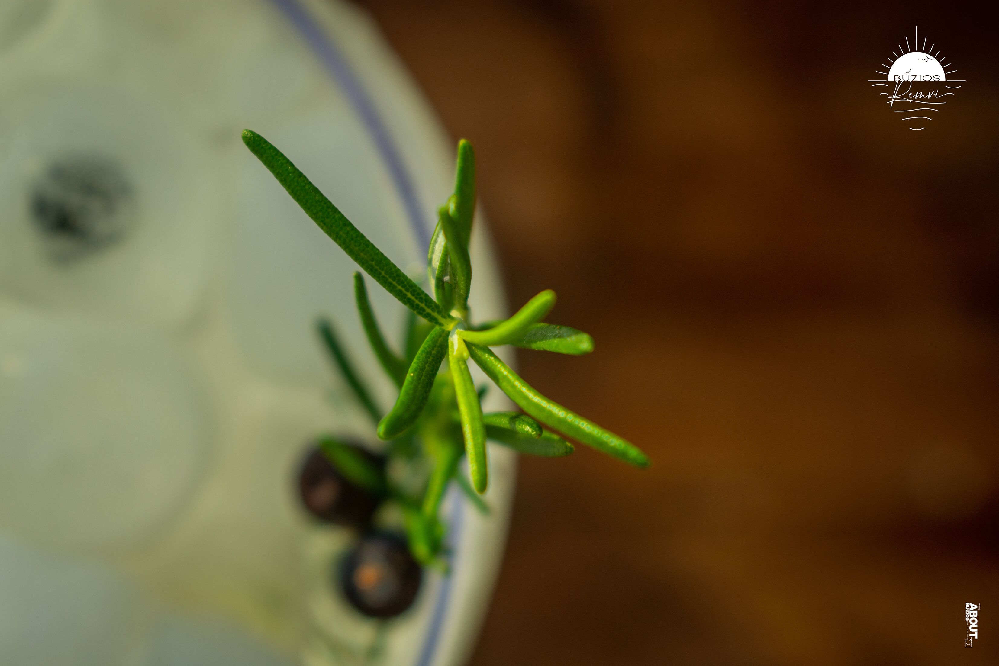 Foto - Pousada Praia João Fernandes