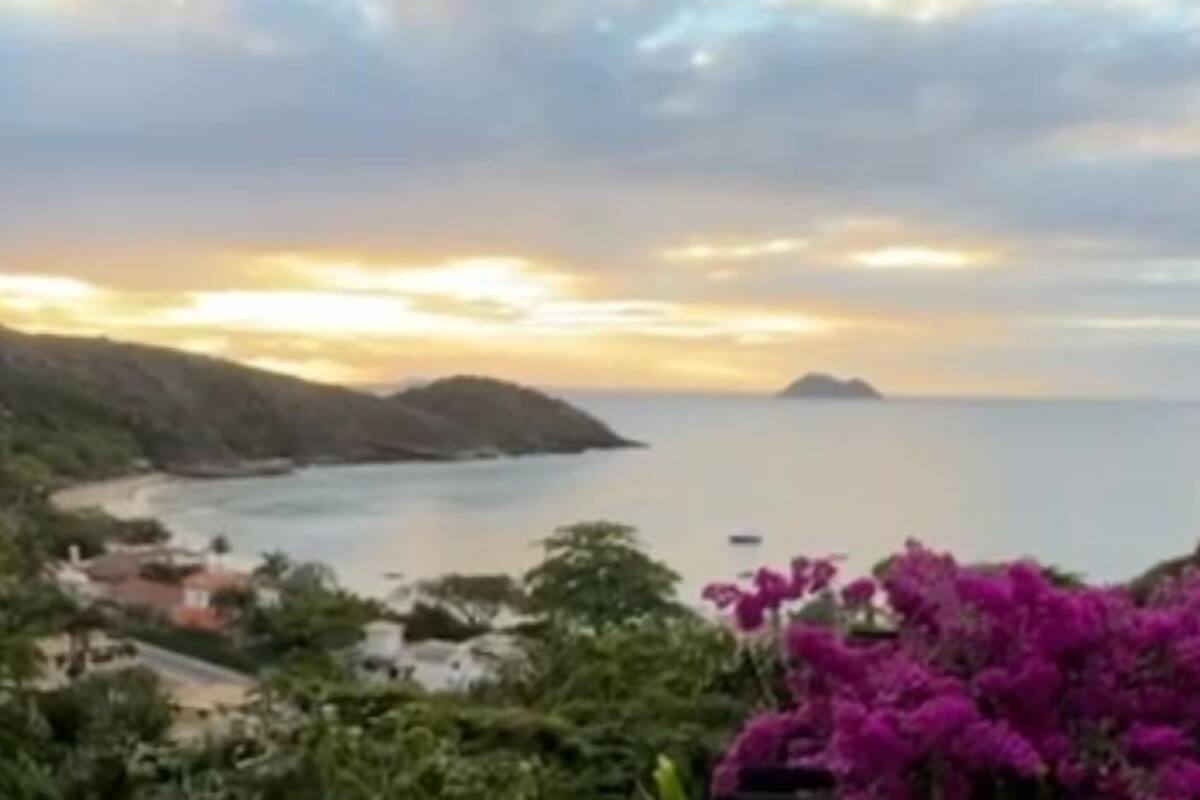 A coastal landscape with a view of the sea, a mountain, and purple flowers in the foreground.