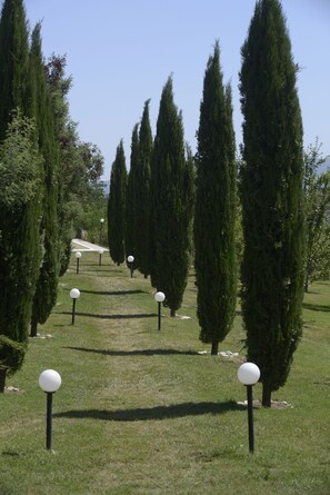Property grounds - Bio Agriturismo Valle dei Calanchi (Castiglione in Teverina)