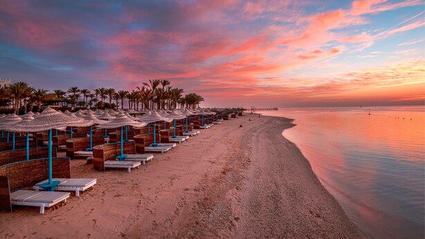 Una playa con filas de tumbonas y sombrillas, palmeras y un mar tranquilo al atardecer.