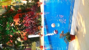 An indoor swimming pool with a blue water feature, surrounded by various plants and potted plants. - Mahodadhi Palace (Puri)