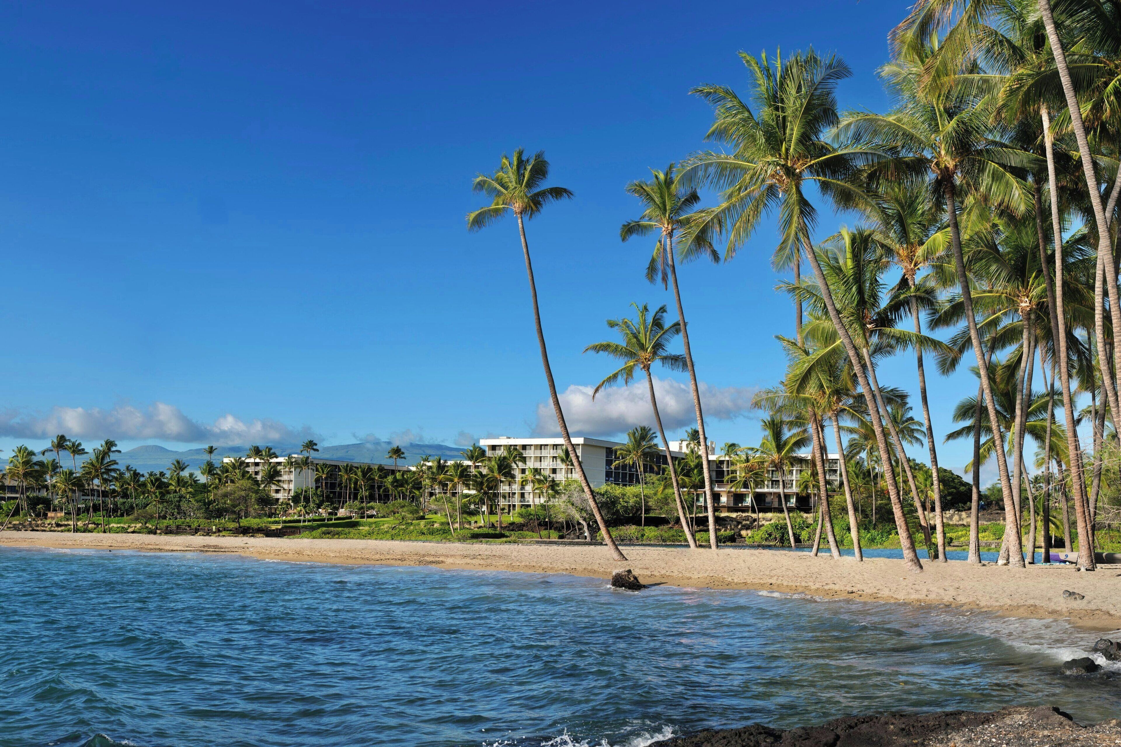 A beach with palm trees and a hotel in the background.