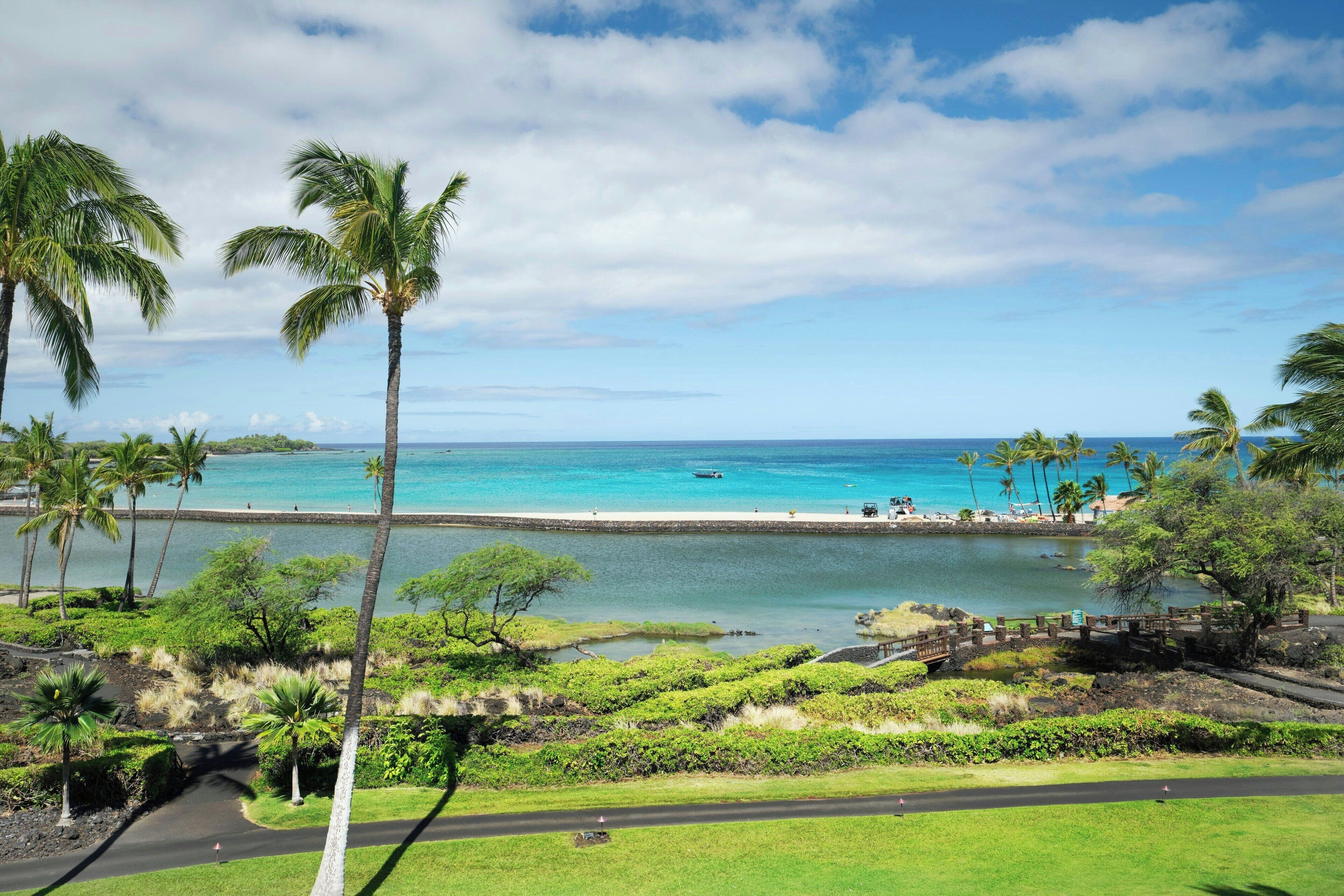 A tropical beach view with palm trees, a clear sky, and a calm sea.