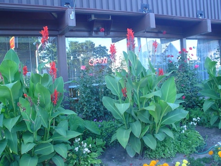 Exterior. Advance Inn