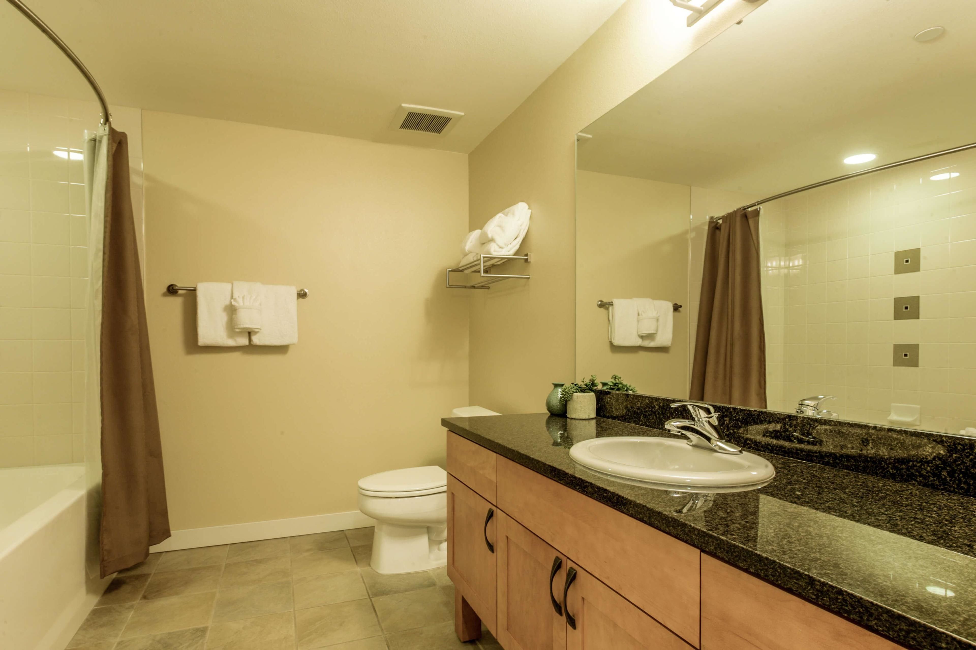 A bathroom with a shower, toilet, vanity with a sink, and a large mirror.