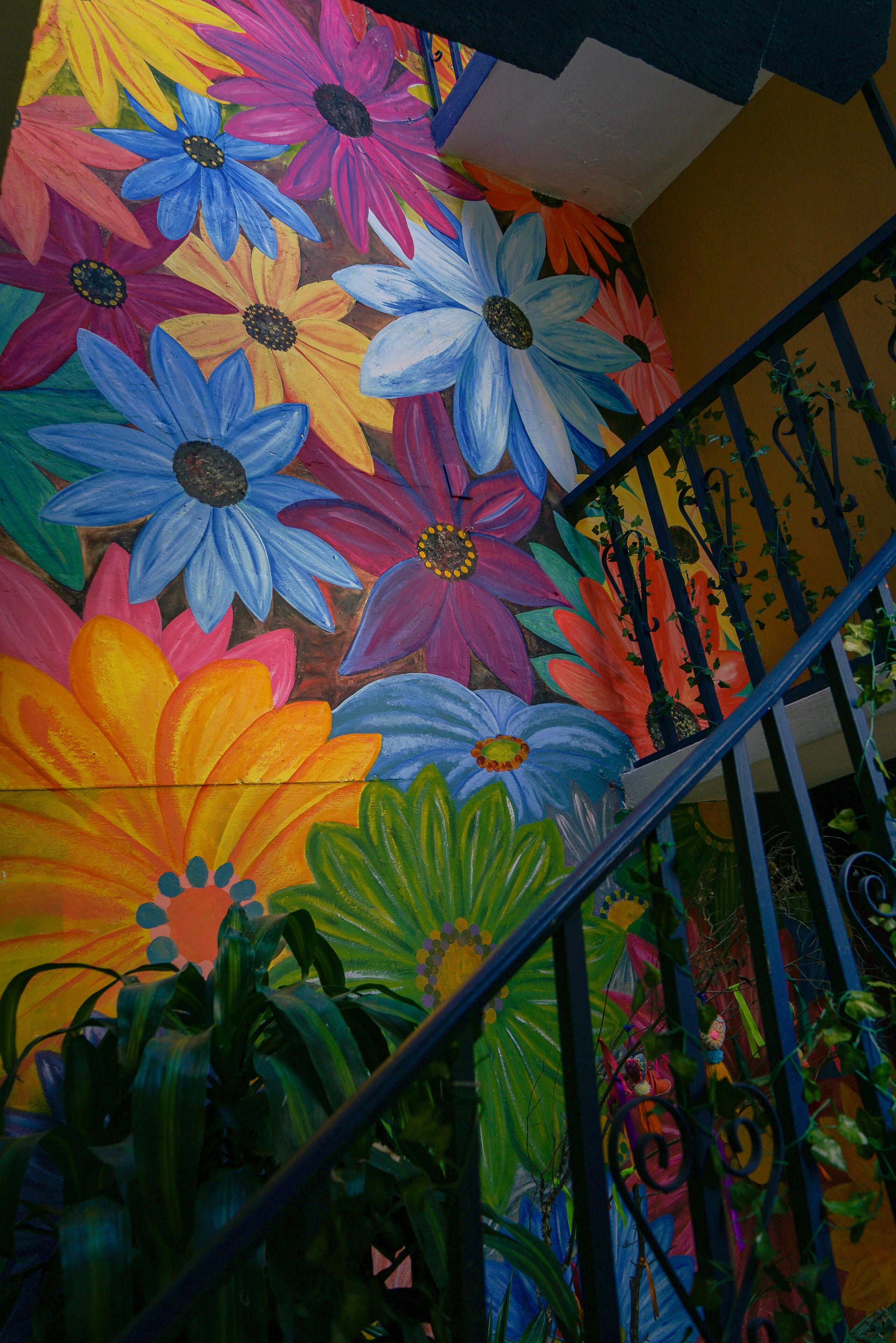 Photo - Hotel Tepeyac