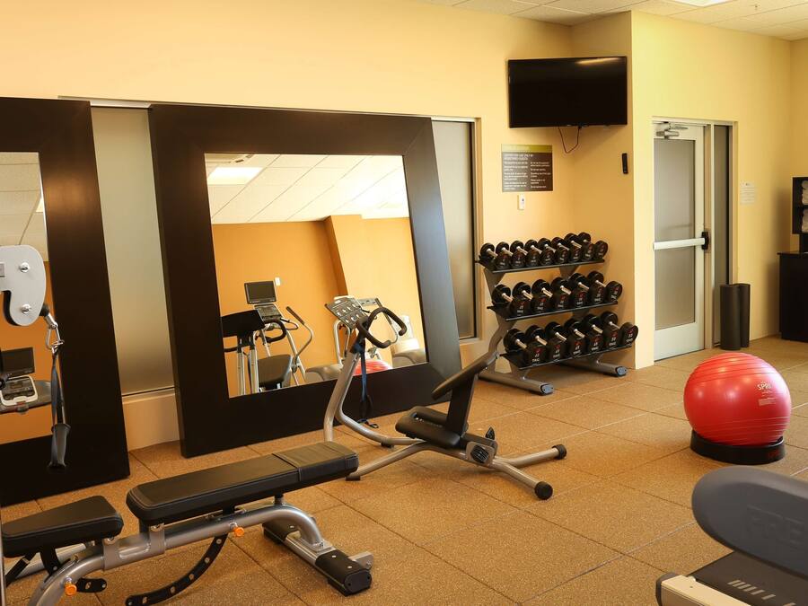A gym with exercise equipment, a mirror, a television, and a wall-mounted rack of dumbbells.