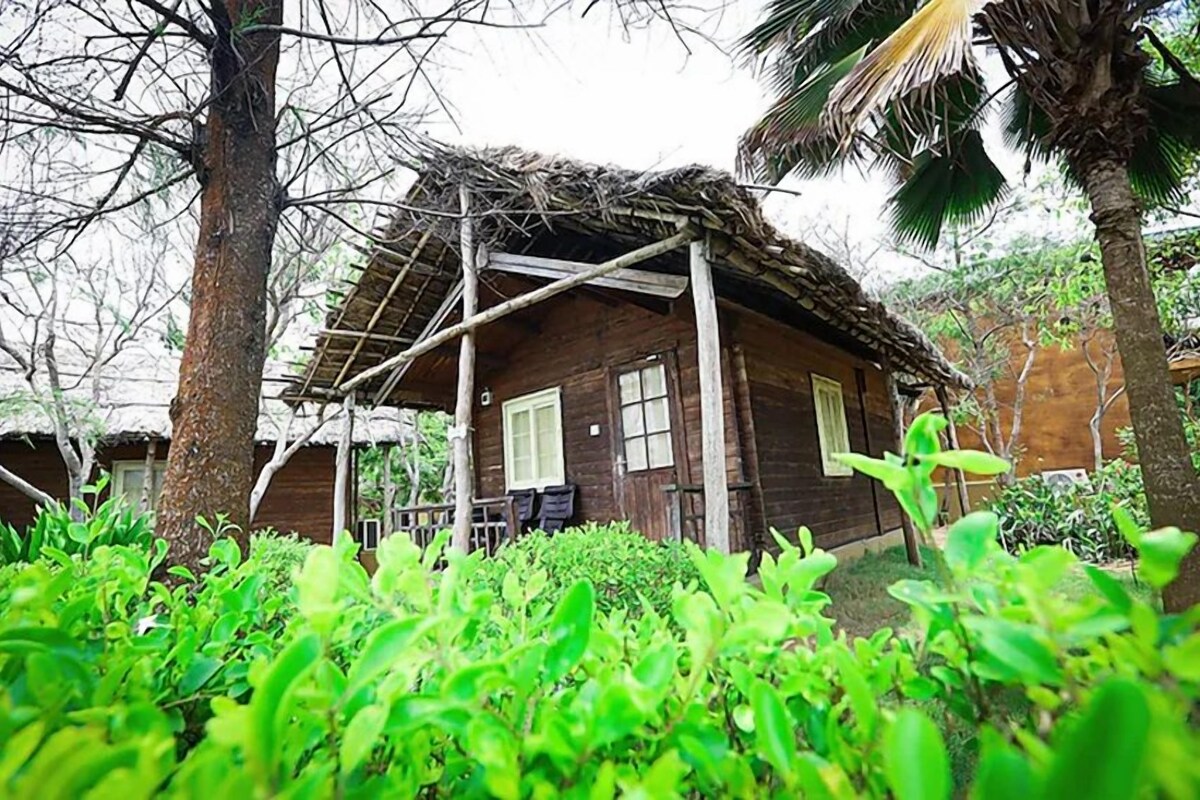 A wooden house with a thatched roof, surrounded by lush greenery.