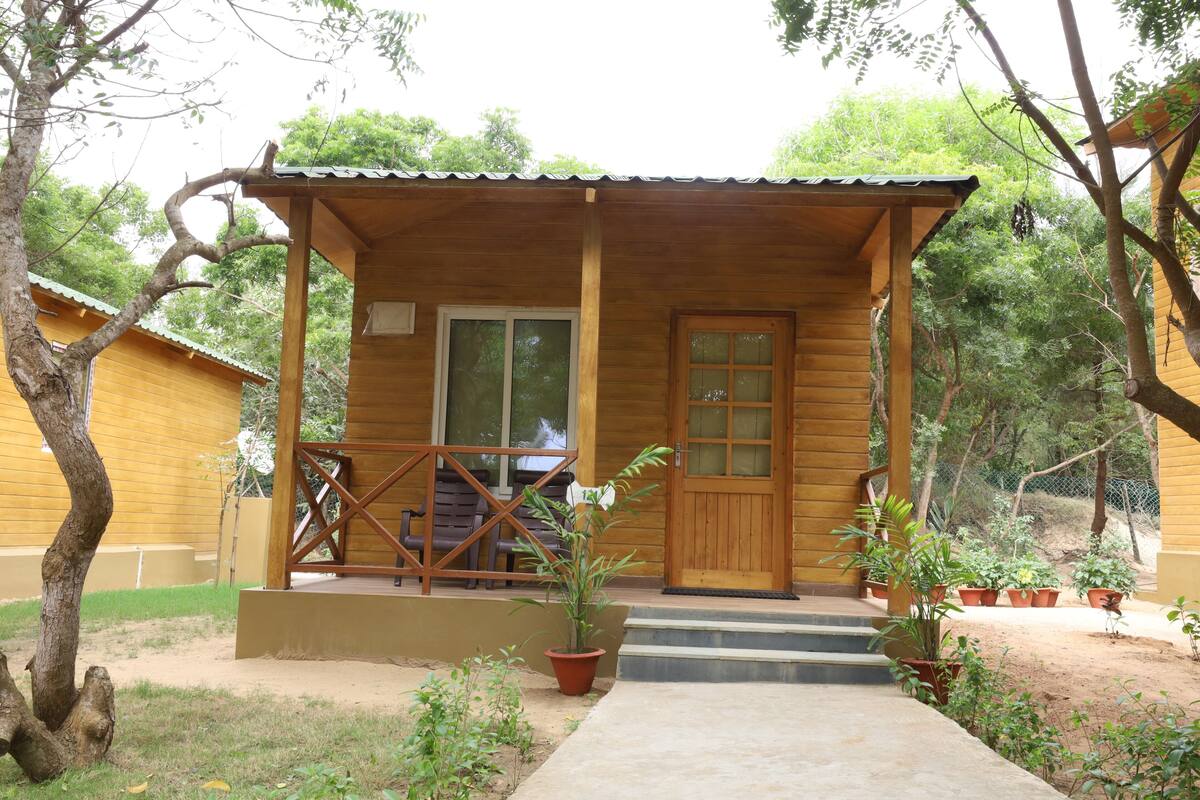A wooden cabin with a porch, a door, and potted plants.