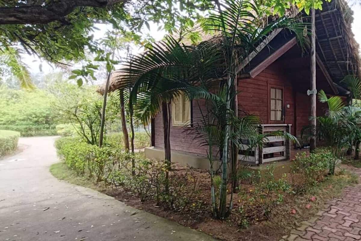 A rustic wooden cabin with a thatched roof, surrounded by lush greenery and a paved path leading to it.