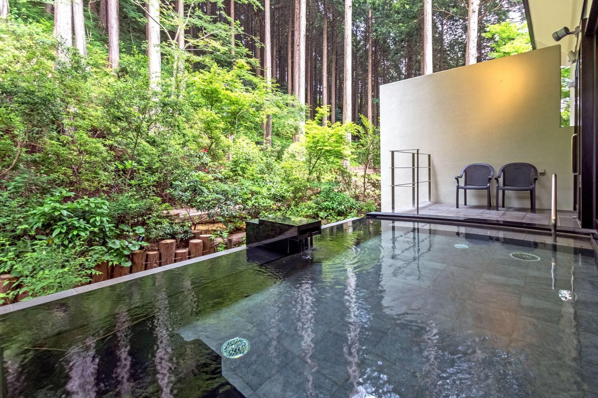 A serene indoor pool with a clear view of a lush forested area, a seating area with two chairs, and a modern architectural design.