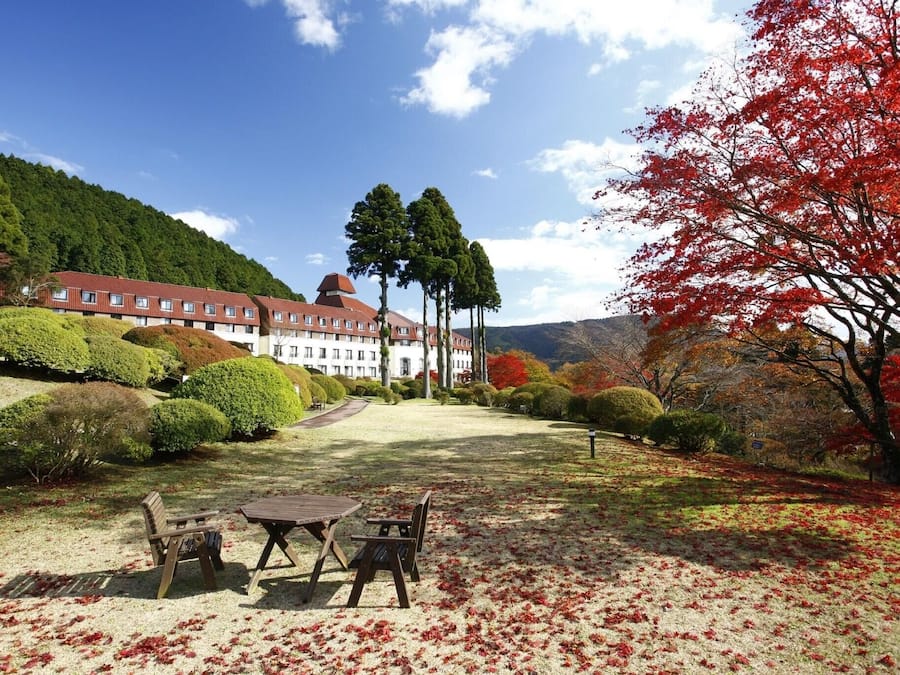 Terraço/pátio