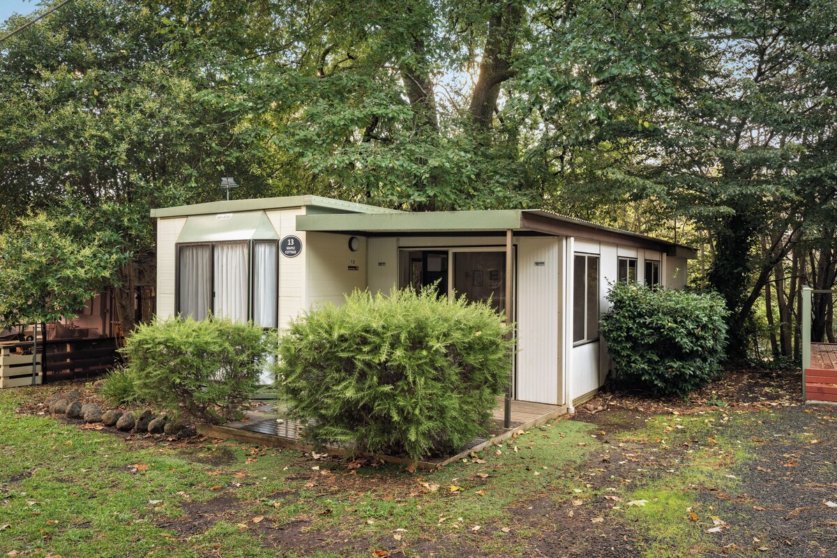 Een klein, gelijkvloers blokhutje met een overdekte veranda, omgeven door dichte bomen.