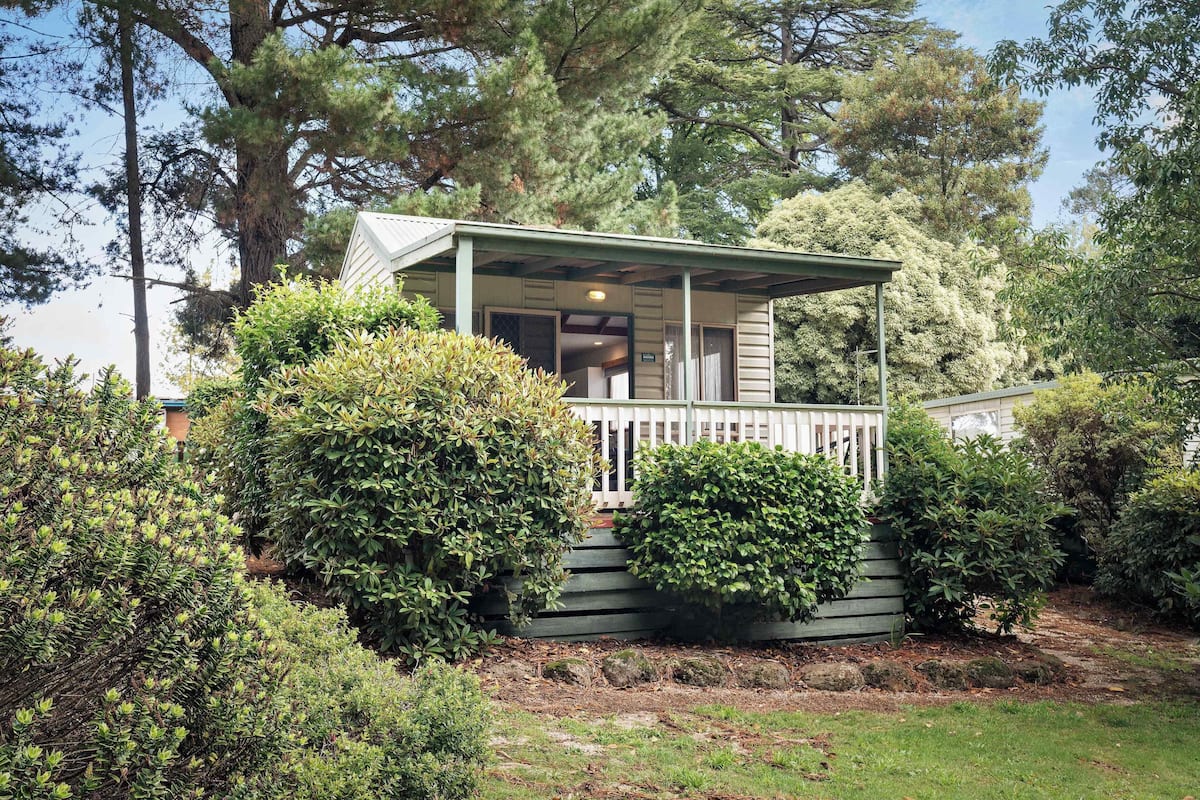 A small, single-story cabin with a porch, surrounded by dense greenery and trees.