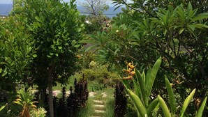 Jardín