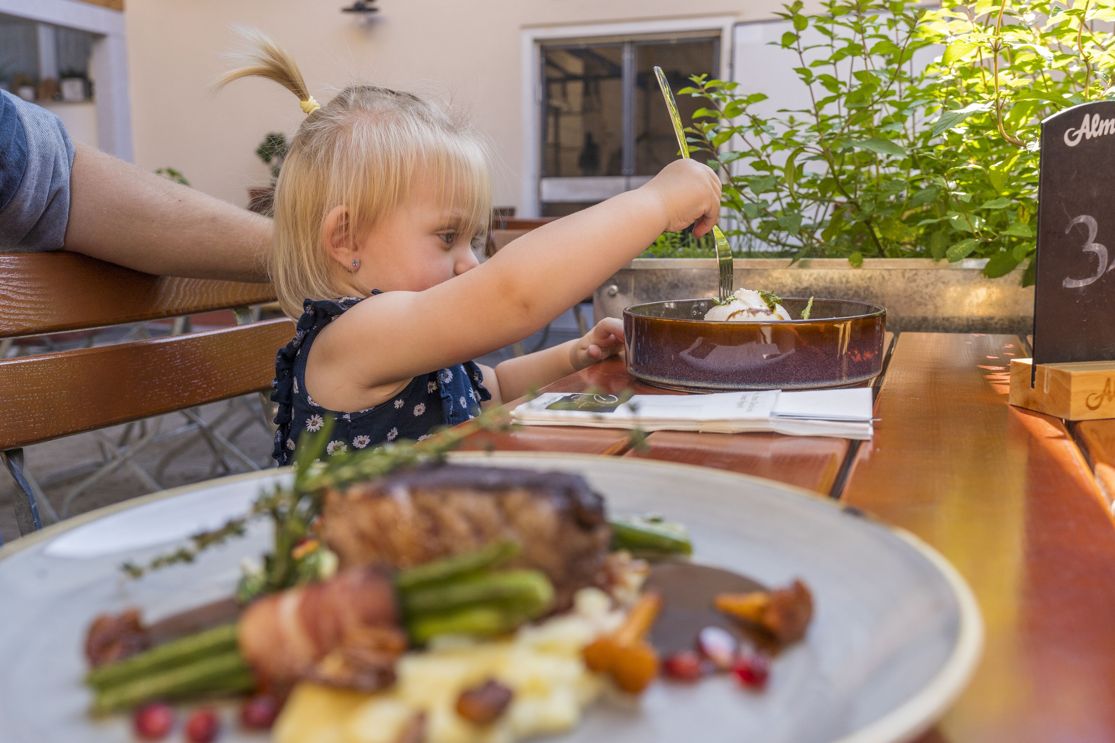 A dining table with a plate of food, a menu, and a plant in the background.