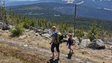 Un excursionista con una mochila y un niño caminando sobre un sendero rocoso, con un paisaje montañoso al fondo.