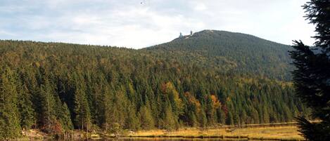 A serene lake surrounded by dense forest and a hill with a small structure on top.