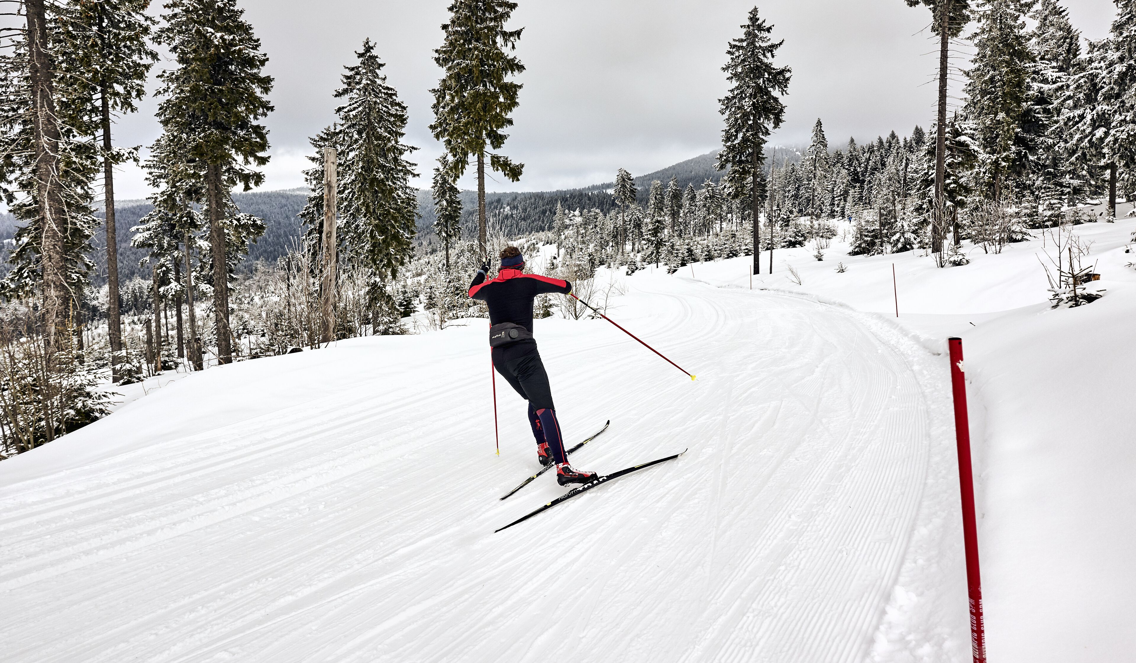 A person skiing on a snowy slope with trees and a red pole marking the path.