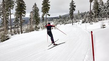 Een persoon skiënd op een besneeuwde helling met bomen en een rode paal die het pad markeert.