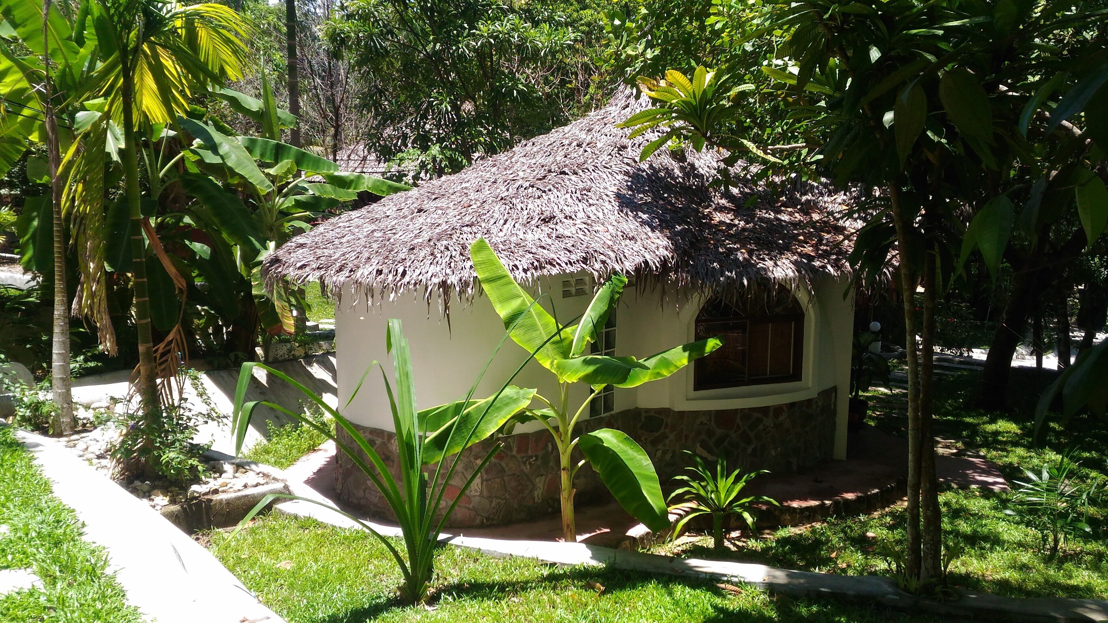 Una pequeña cabaña con techo de paja y base de piedra, rodeada de abundante vegetación y un jardín cuidado.
