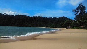 A beach with a clear sky, sandy shore, and dense forest in the background. - Flower Power Village (Ranong)