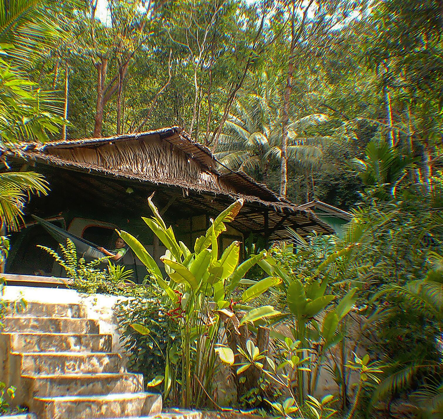 Deluxe Tent, Patio, Park View | Garden view