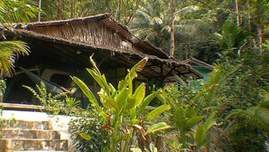 A traditional thatched-roof structure surrounded by lush tropical vegetation. - Flower Power Village (Ranong)