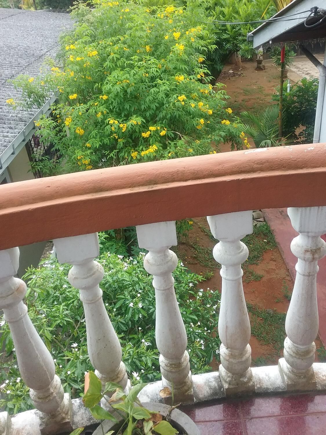 Un balcon doté d’une balustrade, donnant sur un jardin où s’épanouissent des fleurs jaunes et où la végétation est luxuriante.
