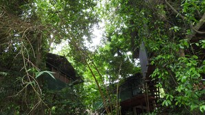 A traditional wooden structure surrounded by dense foliage. - Riverside Cabana Yala (Thissamaharama)