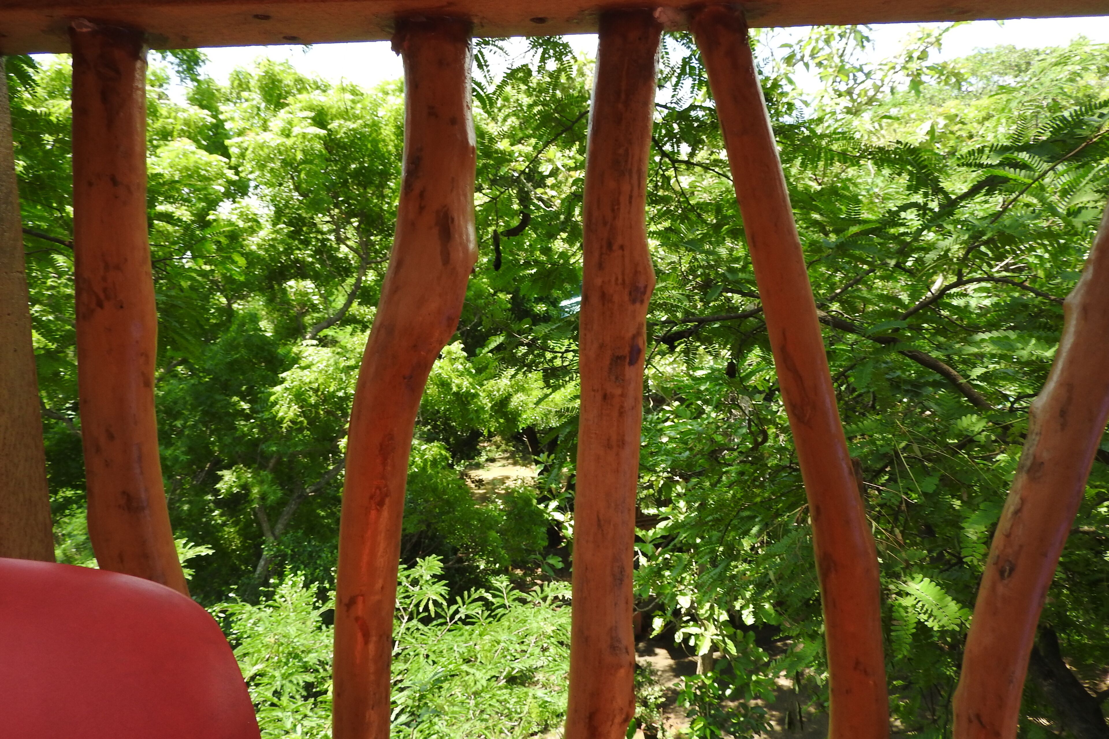 A wooden railing with a view of dense green foliage in the background.