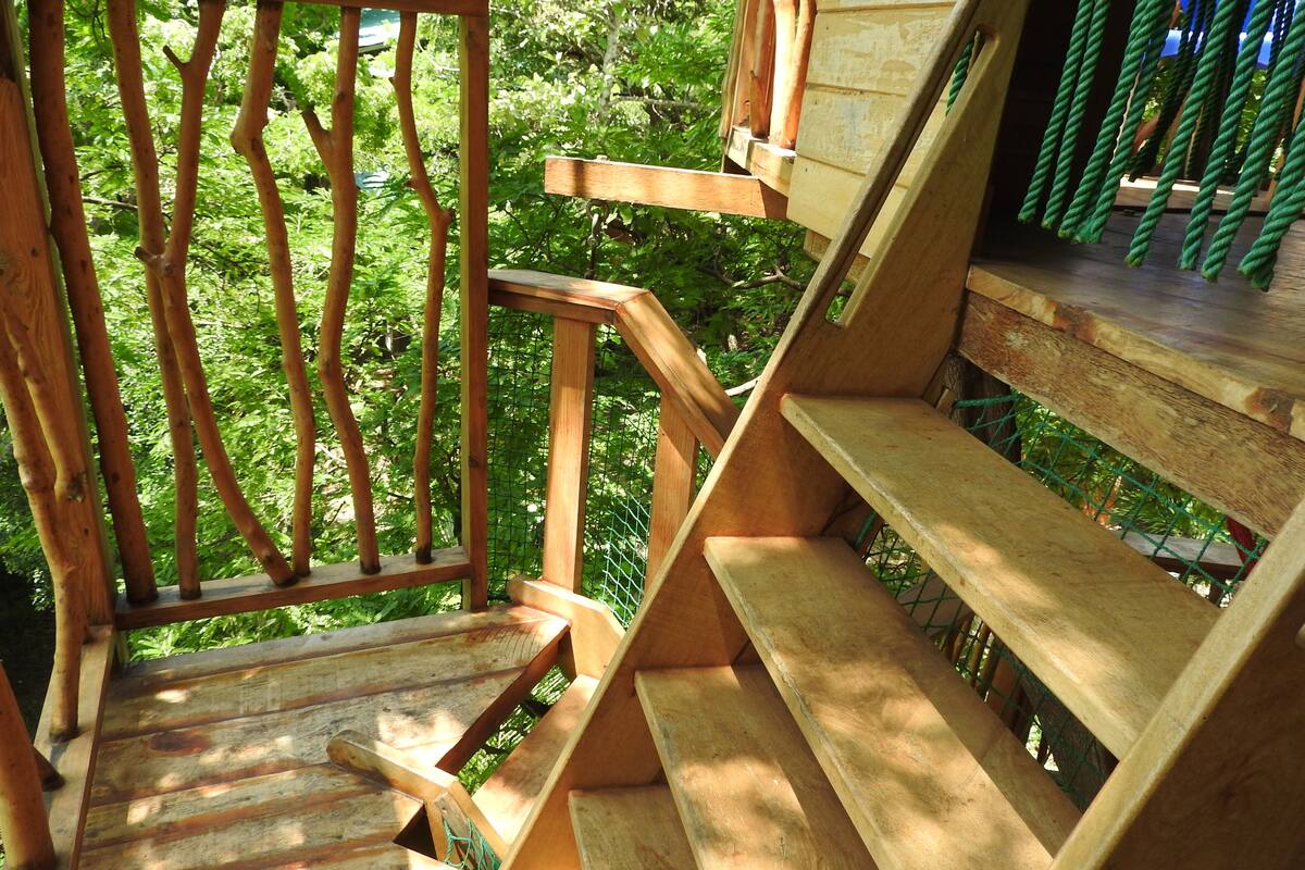 A wooden staircase with a wooden railing and a view of greenery in the background.