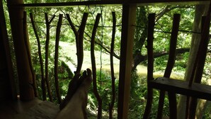 A view through a bamboo-framed window with a wooden railing, overlooking a lush green forest. - Riverside Cabana Yala (Thissamaharama)