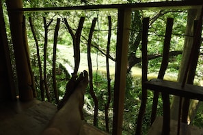 Panoramic-Doppelzimmer | Blick auf das Wasser