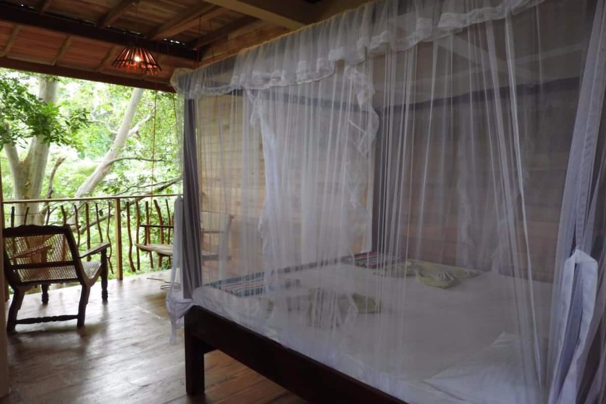 A room with a bed covered by a mosquito net, a wooden bench, and a view of trees through a balcony.