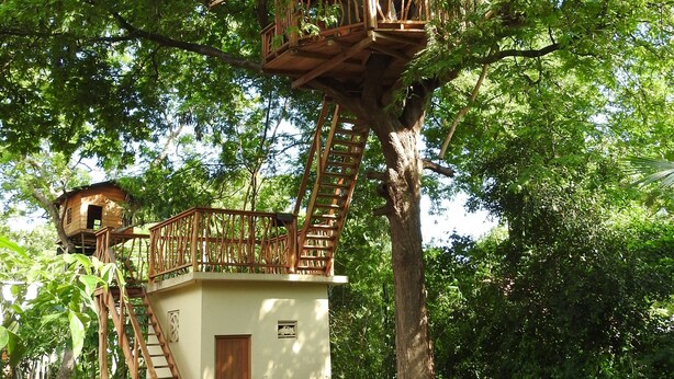 A treehouse with a wooden staircase and a small building at its base. - Riverside Cabana Yala (Thissamaharama)
