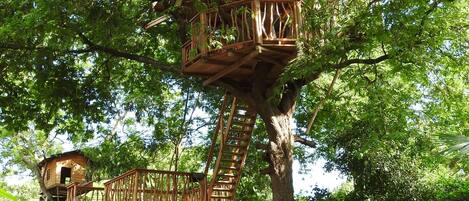 Desk, laptop workspace, iron/ironing board, free WiFi