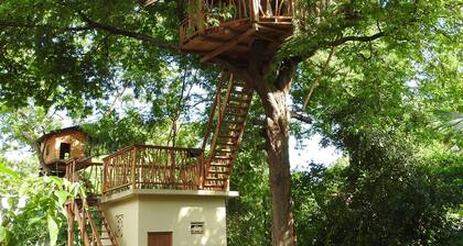 Riverside Cabana Yala