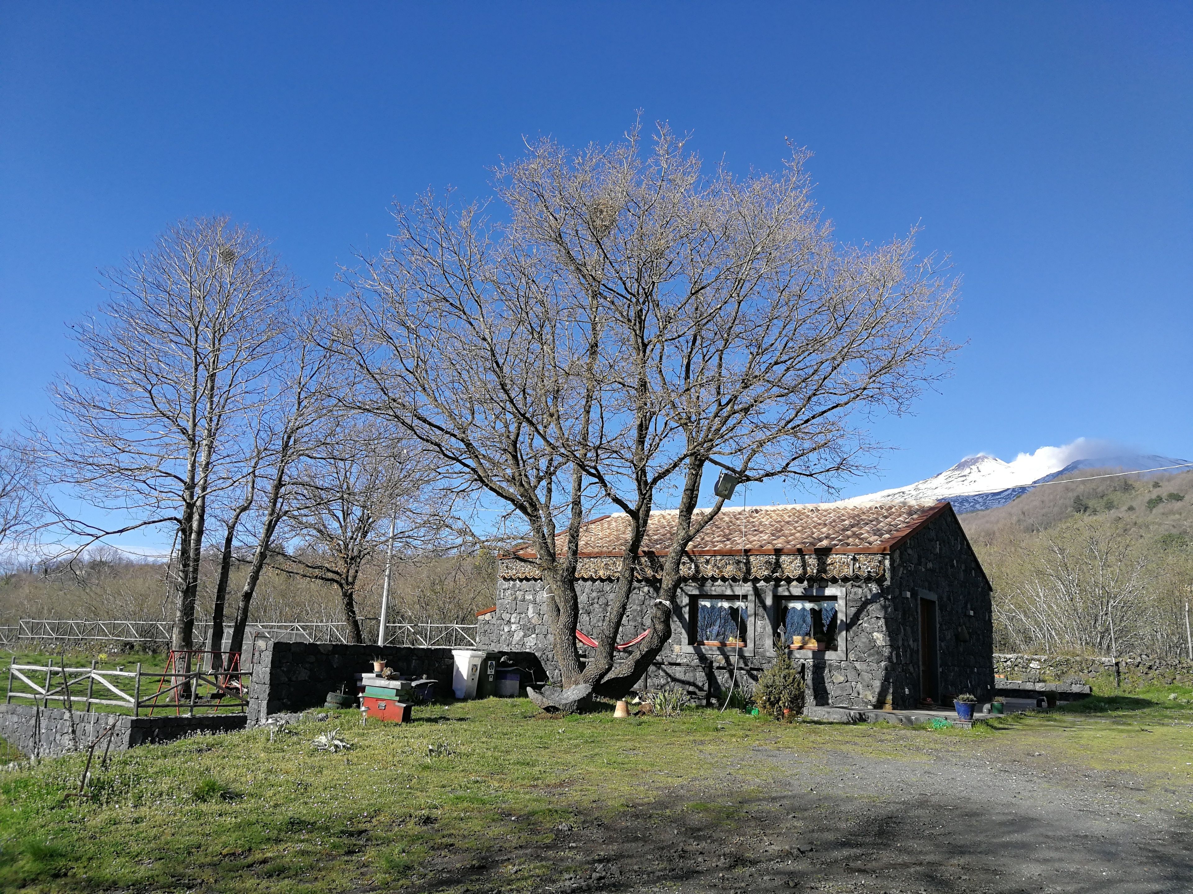 A rustic stone building with a sloped roof, surrounded by bare trees and a clear blue sky.