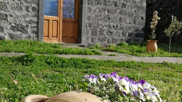 Apartment, Küche | Ausblick vom Zimmer