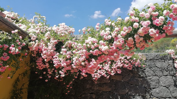 شرفة/رواق