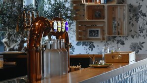 Una zona de bar con una grifo de cerveza, una barra y una planta decorativa al fondo.