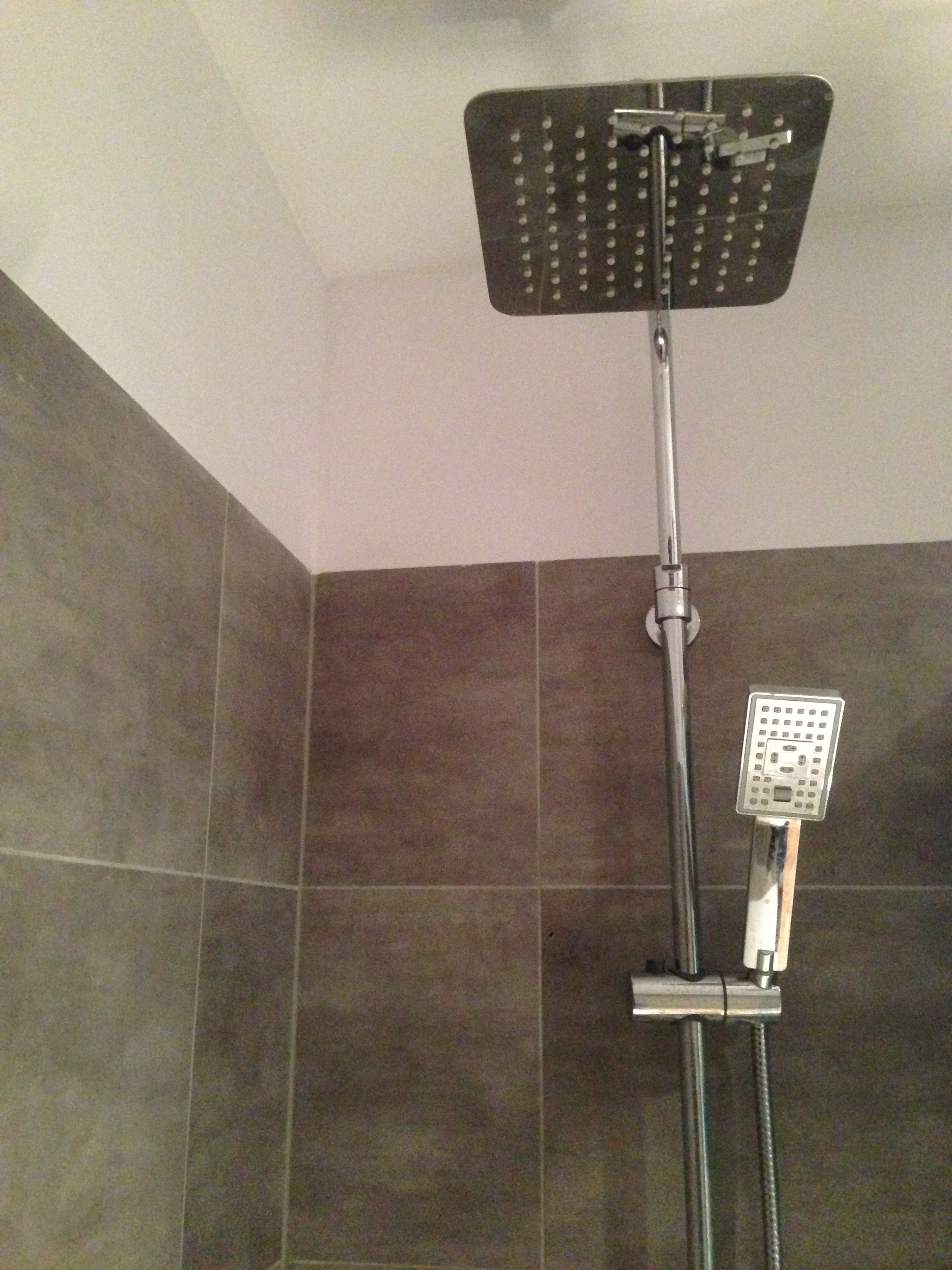 Eine Dusche mit Duschkopf und Handbrause.